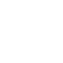 Bulb icon
