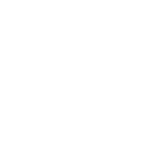 Smart icon
